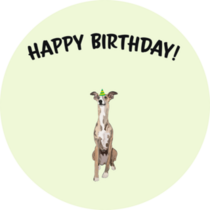Happy Birthday Whippet Sticker