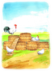 Happy Chicken Happy Farm Illustration Sticker