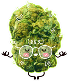 Happy Cute Marijuana Bud Meditating Sticker