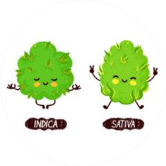 Happy Cute Smiling Indica And Sativa Weed Buds Sticker