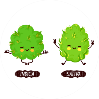 Happy Cute Smiling Indica And Sativa Weed Buds Sticker