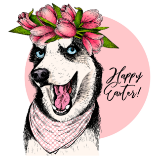 Happy Easter Husky Sticker