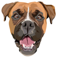 Happy German Boxer Sticker