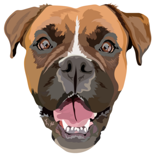 Happy German Boxer Sticker