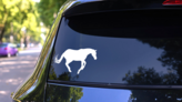 Happy Horse Sticker on a Rear Car Window (New) example