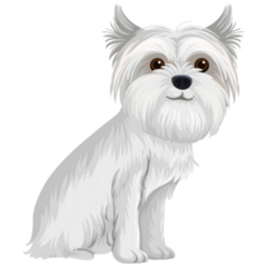 Happy Maltese Sticker