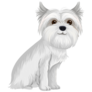 Happy Maltese Sticker