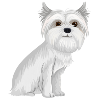 Happy Maltese Sticker