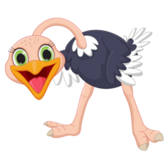 Happy Ostrich Cartoon Smile Sticker