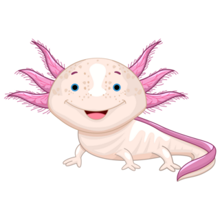 Happy White Axolotl Sticker
