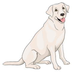 Happy Yellow Lab Sticker