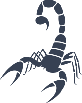 Harsh Scorpion Sticker