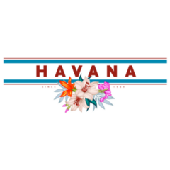 Havana Cuba Floral Banner Sticker