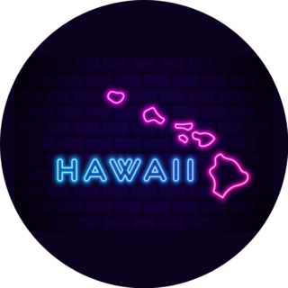 Hawaii Us State Glowing Neon Sign Sticker