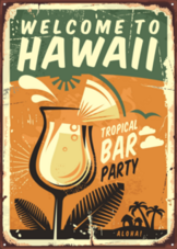 Hawaii Vintage Metal Sign Sticker