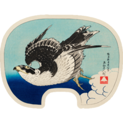 Hawk Illustration Sticker