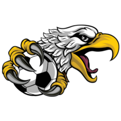 Hawk Soccer Sticker