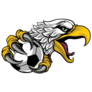 Hawk Soccer Sticker