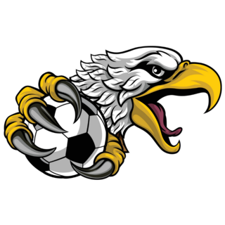 Hawk Soccer Sticker