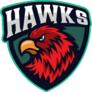 Hawks Shield Sticker 