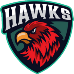 Hawks Shield Sticker 