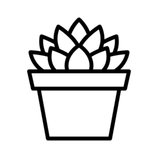 Haworthia Cooperi Succulent Potted Indoor Plant Transfer Sticker