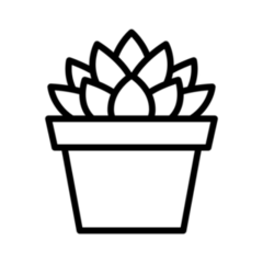 Haworthia Cooperi Succulent Potted Indoor Plant Transfer Sticker