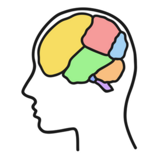 Head And Brain Colorful Illustration Sticker 