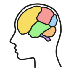 Head And Brain Colorful Illustration Sticker 