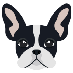 Head French Bulldog Black Sticker