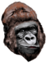 Head Gorilla Drawing Sticker