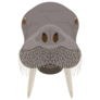 Head Of A Walrus Sticker