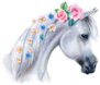 Head Of A White Horse With Pink Flowers In Mane Sticker