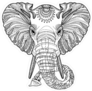 Head Of An Elephant Sticker
