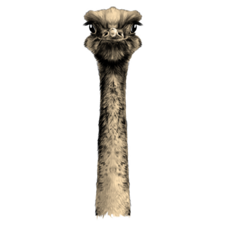 Head Ostrich Angry Sticker