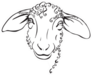 Head Sheep, Stylized Black And White Sticker