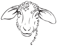 Head Sheep, Stylized Black And White Sticker