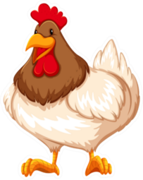 Healthy Chicken Cartoon Standing Sticker