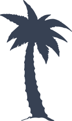 Healthy Palm Tree Sticker