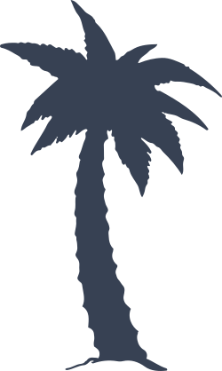 Healthy Palm Tree Sticker