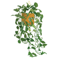 Healthy Pothos Indoor Potted Plant Sticker