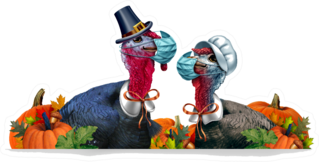 Healthy Thanksgiving Banner Turkeys In Masks Sticker