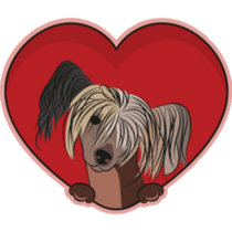 Heart Chinese Crested Sticker