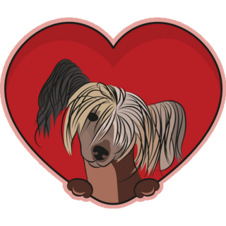 Heart Chinese Crested Sticker
