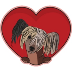 Heart Chinese Crested Sticker