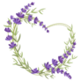 Heart Lavender Sticker