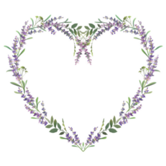 Heart Lavender Sticker
