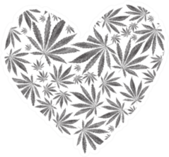 Heart Of Marijuana Or Cannabis Leaves Sticker