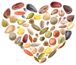 Heart Shaped Seeds Sticker