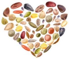 Heart Shaped Seeds Sticker